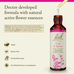 Elm dropper ready for effortless daily dosing and self-assurance.