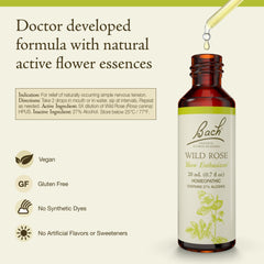 Bach Wild Rose dropper for easy under-tongue dosing