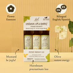 Bach Original Flower Remedies dropper close-up, gentle alcohol-free energy support.