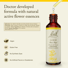 Bach Gorse remedy dropper ready to use for gentle mood support.
