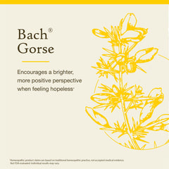 Label close-up on Bach Original Flower Remedies box highlighting 38 natural ingredients.