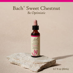 Close-up of the Sweet Chestnut dropper for easy on-the-go use.
