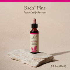 Bach Pine Self-Respect front label for brand recognition and clarity