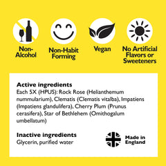 Bach Rescue Remedy Kids flowers tincture; plant-based calm support.