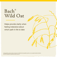 Drops under the tongue with Bach Wild Oat for daily balance