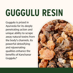 Kanchanar Guggulu resin image emphasizing guggulu content and detox potential