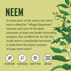 Banyan Botanicals Neem Tablets closeup of uncoated tablets suitable for tasting.