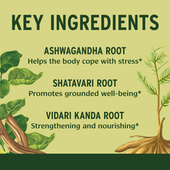 Banyan Botanicals organic Ayurvedic herbs label highlights USDA organic quality
