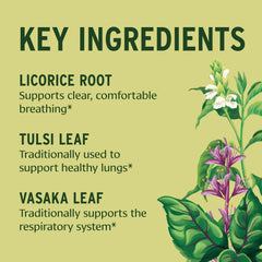 Assorted organic herbs including elecampane and triphala shown for lung health.