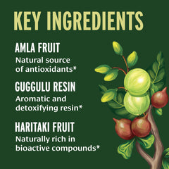 Organic bibhitaki haritaki amla ingredients showcased for Triphala Guggulu