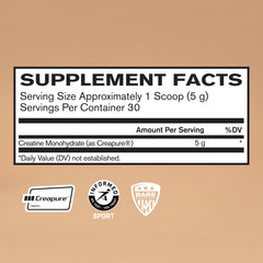 BARE PERFORMANCE NUTRITION creatine monohydrate powder scoop shows precise 5g serving.