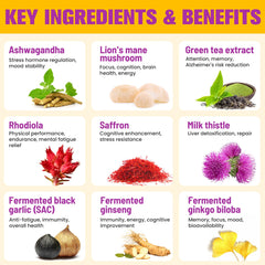 Basopum Mushroom Gummies elderberry flavor close-up highlights tasty daily cognitive support.