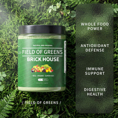 BDQBDQ Field of Greens powder closeup shows smooth texture for easy mixing