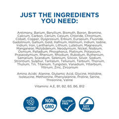 BEAM MINERALS Travel Pack label closeup showing plant-based mineral sourcing.