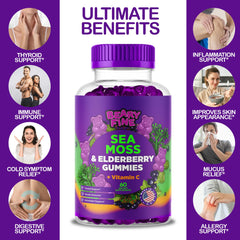 Beary Fine Sea Moss Gummies kid-friendly serving for daily wellness