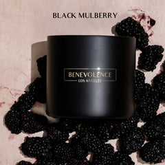 Benevolence LA 14.5 oz soy candle for cozy, long-lasting fragrance.