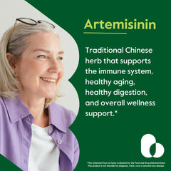 BESTVITE Artemisinin capsules close-up showing 500 mg dosage per capsule.
