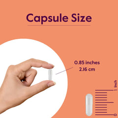 BESTVITE NAC bottle top view; NSF GMP-certified manufacturing quality.