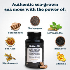 Better Alt bladderwrack-burdock-root-bottle showcasing plant nutrients for overall vitality