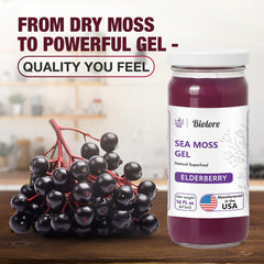 Biolore sea moss gel in glass jar showcases premium packaging.