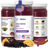 Biolore Elderberry sea moss gel in a 16 oz glass jar for daily wellness.