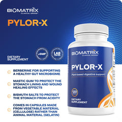 BioMatrix Pylor-X mastic gum ingredient close-up for gut balance