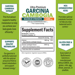 BioSchwartz Garcinia Cambogia label detail emphasizing natural ingredients and high purity.