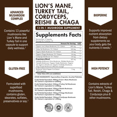 BioSchwartz mushroom blend ingredients close-up featuring Lion’s Mane, Reishi, Chaga, Cordyceps for focus and immune support.
