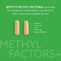 Biote Methyl Factors+ front label highlights methylation support