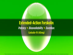 Biotest Carbolin 19 serving suggestion image shows easy daily intake around workouts