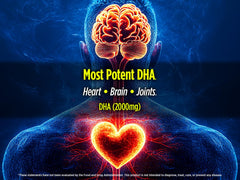 Biotest Flameout ingredients label reveals 2000 mg DHA and 400 mg EPA per serving.