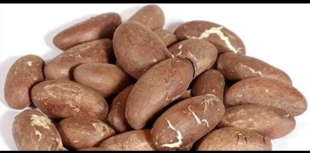 Bitter Kola Nut 1-lb bottle for earthy, distinctive flavor in cooking.