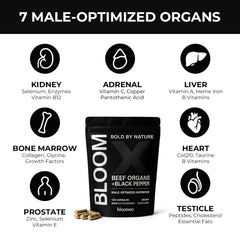 Bloomeo primal organs seven-blend showcasing comprehensive ancestral nourishment.