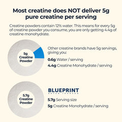 Bottle of Blueprint Bryan Johnson Creatine Monohydrate Powder ready for daily workouts.