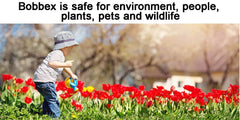 Garden beds protected by Bobbex spray after application for deer deterrence.