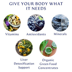 Ingredients chart showing whole-food concentrates in BodyHealth Multi Complete