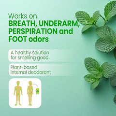 Body Mint Original packaging view with 50-count bottle for long-lasting protection.