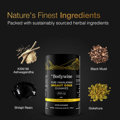Bodywise Gummies Gold pack shows compact, travel-friendly wellness on the go.