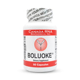 Boluoke Lumbrokinase capsules bottle for daily wellness and potential blood flow balance.