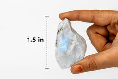Bombay Crystals Export Rainbow Moonstone close-up shimmer shows natural blue flash