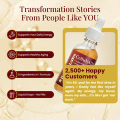 Boost Labs Liposomal NAD+ dropper emphasizes precise, portable dosing for on-the-go routines.