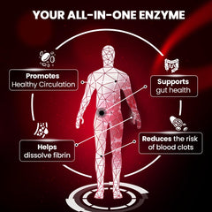 BOSCENT Lumbrokinase delayed-release capsules emphasize improved absorption.