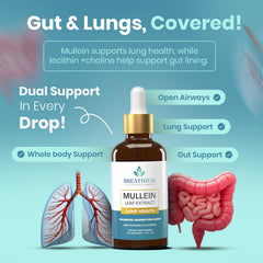 Breathium 4-in-1 Mullein Drops precision dosing with dropper-use
