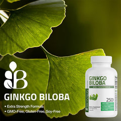 Bronson Ginkgo Biloba label notes cGMP standards and allergen-free ingredients.