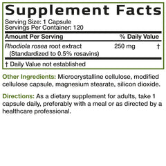 Bronson Rhodiola Rosea capsule close-up demonstrating vegetarian formula