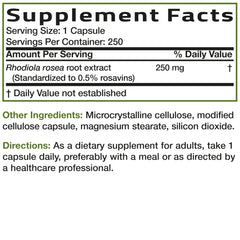 Bronson Rhodiola Rosea capsules in hand suggesting convenient, on-the-go support.