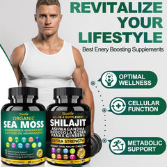 Bualle ashwagandha rhodiola ginseng capsules displaying adaptogens for stress resilience