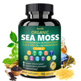 Bualle Irish Sea Moss Capsules bottle for daily wellness