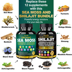 Bualle sea moss capsules close view highlighting mineral-rich seaweed support
