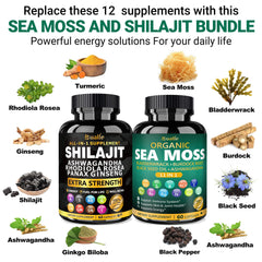 Bualle Shilajit energy capsules close-up signaling natural vitality support